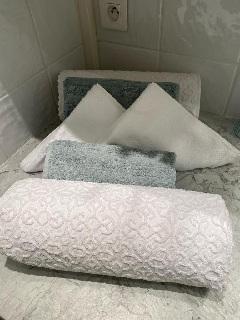 Le Duc De Savoie Thonon Apartman Kültér fotó